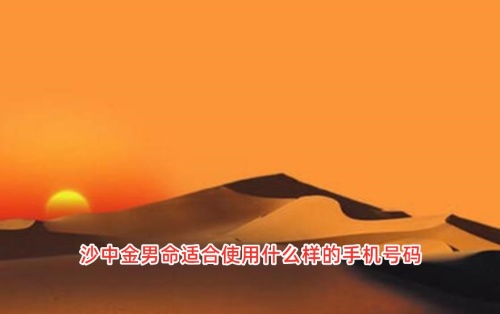 沙中金男命适合使用什么样的手机号码