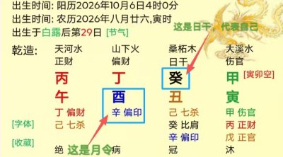 零基础小白怎么看懂自己的八字(保姆级教学)