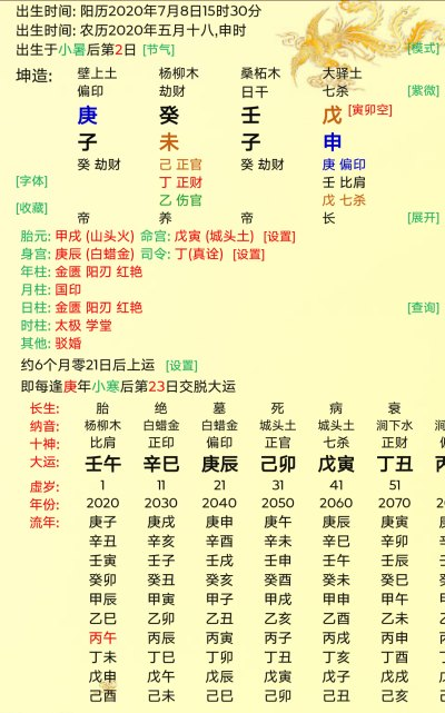 命理学——盲派地支象法口诀(内部)