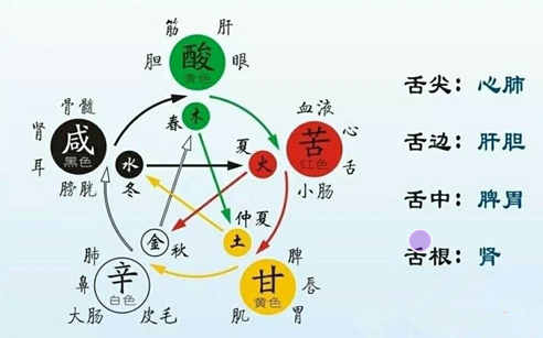 阴阳五行象义全集