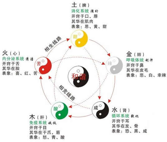 五行的性质特征