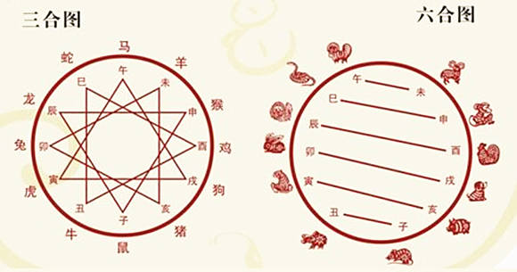 地支相合