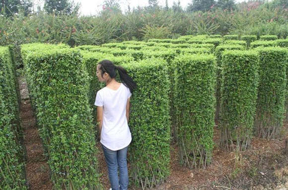 十神在各柱的意义