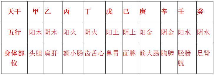 十天干十二地支对应五行
