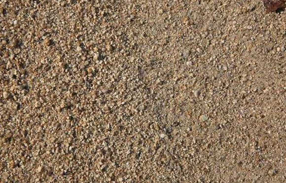 沙中土命是什么意思