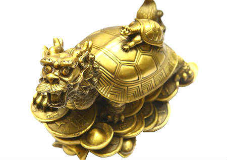 龙龟的摆放风水及禁忌