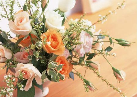 家庭花卉摆放风水讲究