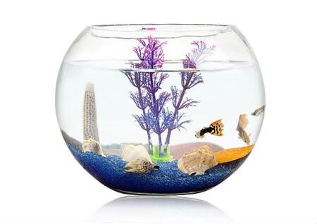 店铺鱼缸摆放风水