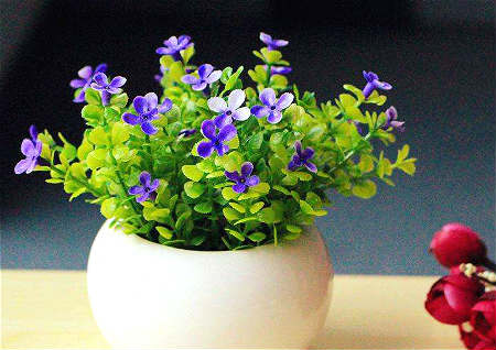 假花会影响风水吗