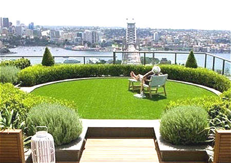 屋顶养什么风水好