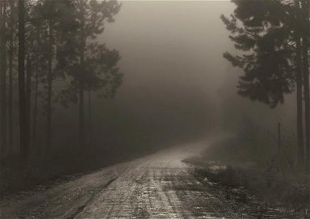 五种不祥物家中不能摆