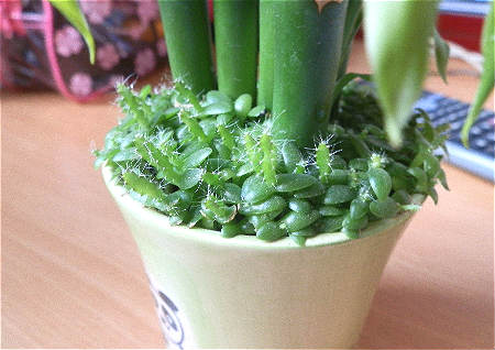 容易发生争吵的住宅风水