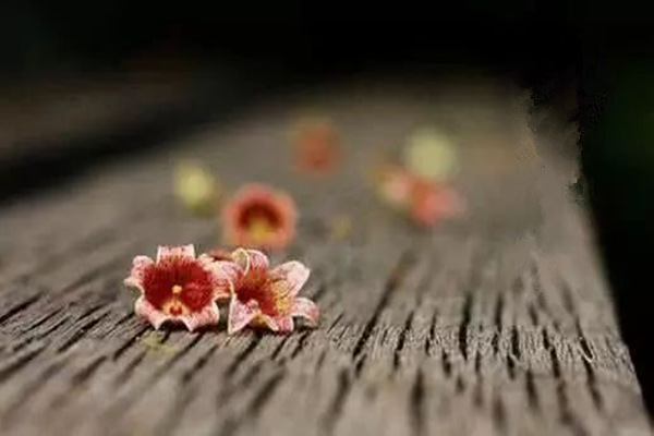 八字贫富贵贱判断