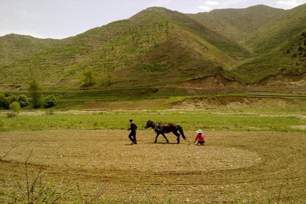 阴宅龙穴砂水分别对后人的影响