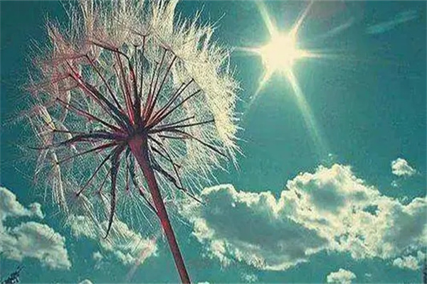 八字格局高低的奥秘