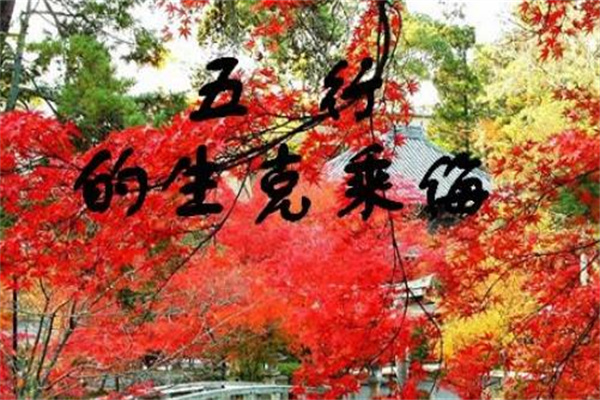 五行生克乘侮关系