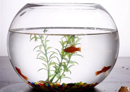 斗牛煞是什么意思