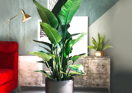 卫生间门正对厨房门有什么不好