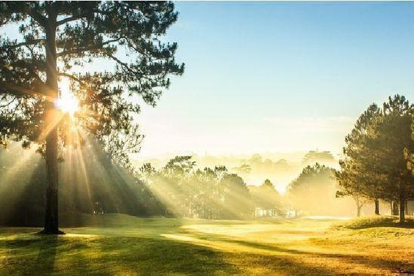 日干坐禄是什么意思