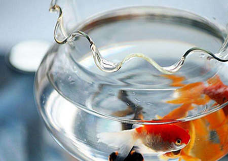 家里财位忌水还是宜水