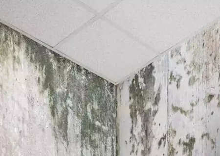 造成皮肤病的风水