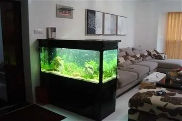 ​客厅鱼缸的风水