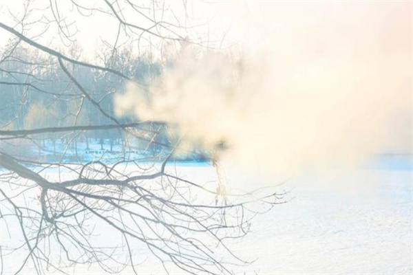 八字中化气格是什么意