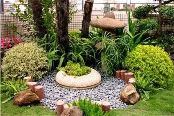 厂里面种植什么风水好