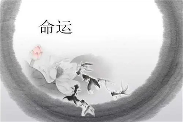 八字与命运的关系