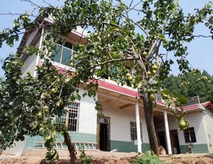 破坏房子风水最厉害的东西