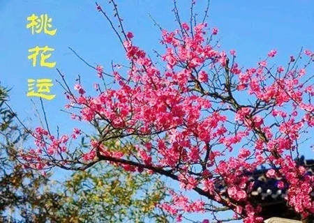 催旺桃花最有效的方法